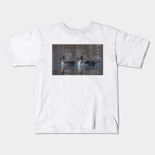 Northern Pintail ducks Kids T-Shirt